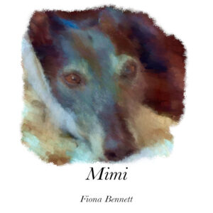 Mimi